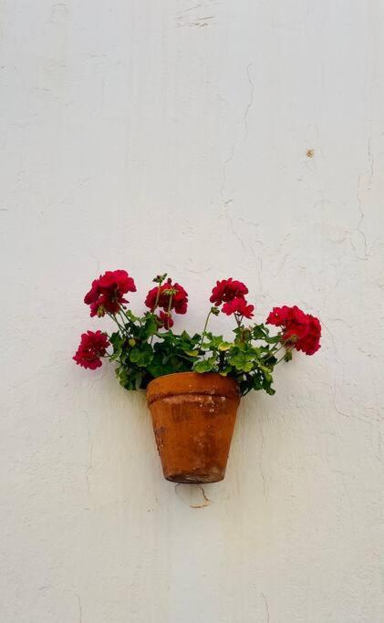 Couples Only, Beautiful 1 Bedroom Apartment In Victoria Building Mojácar Esterno foto